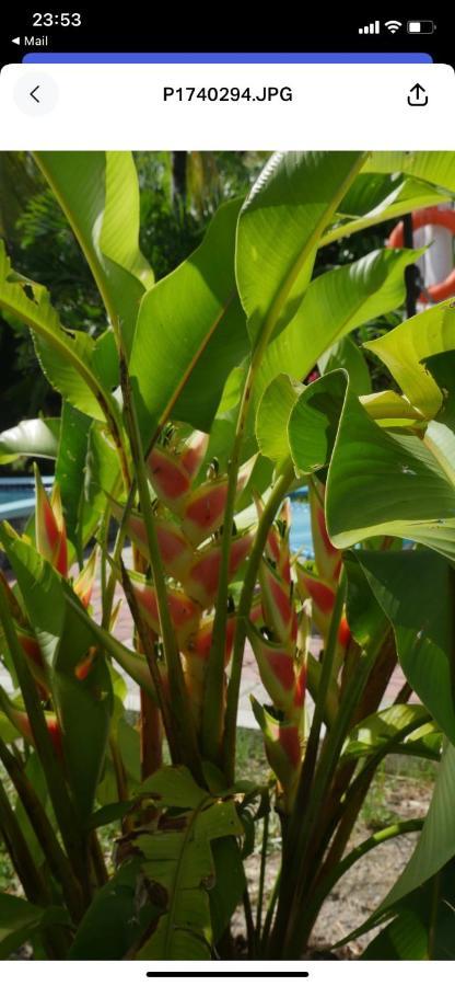 Hotel Ogumka, Self Catering , Beoliere, Mahe Victoria Exterior foto