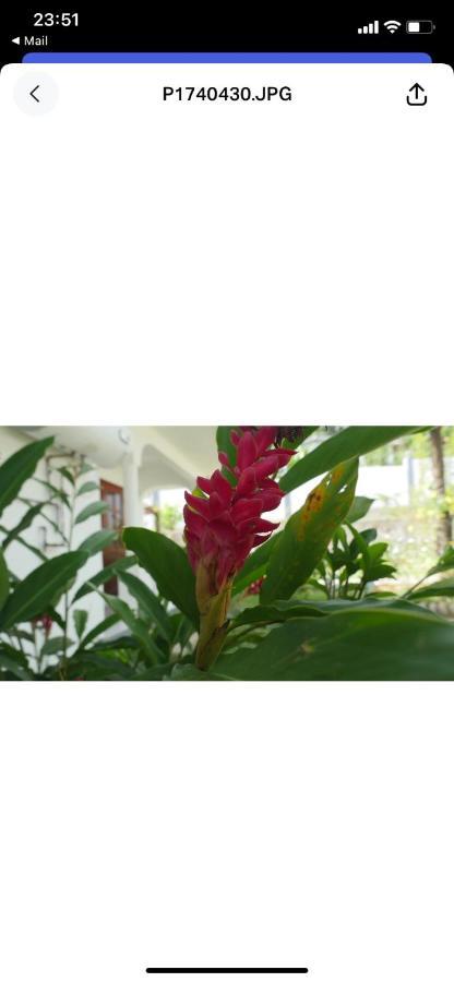 Hotel Ogumka, Self Catering , Beoliere, Mahe Victoria Exterior foto